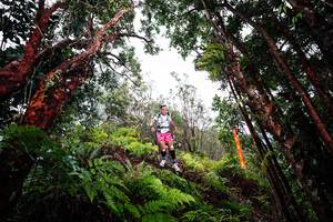 BIB: 
                            <button type="button" onclick="openModal(26201604)" class="btn btn-primary btn-sm float-right btn-popup" data-toggle="modal" data-target=".modal-high-quality">
                        <i class="fas fa-shopping-cart"></i> Add to Cart
                    </button>
                                            <button type="button" onclick="isThisMe(26201604, true)" class="btn btn-success btn-sm float-right btn-popup btn-isme hidden" data-toggle="tooltip" data-placement="bottom" title="นี่คือรูปของคุณใช่ไหม คลิกที่นี่เพื่อเอาเข้าอัลบั้ม">
                        <i class="fas fa-plus"></i> Add to album
                    </button>
                    <button type="button" onclick="isThisMe(26201604, false)" class="btn btn-warning btn-sm float-right btn-popup btn-isnotme hidden">
                        <i class="fas fa-ban"></i> Remove from album
                    </button>